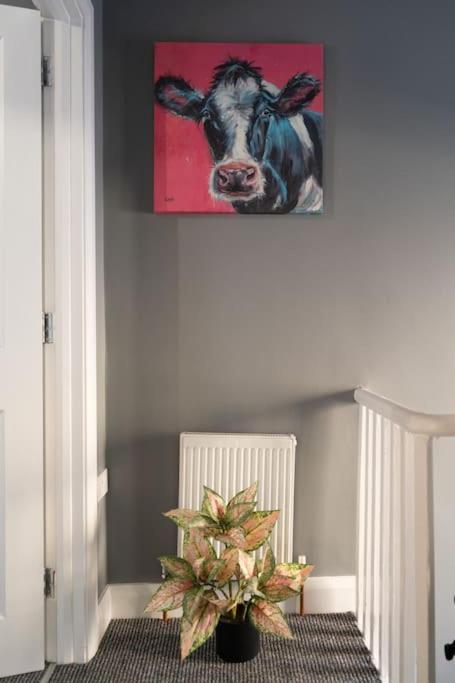 Vibrant City Centre Townhouse With Free Parking Rare Outdoor Patio Belfast Bagian luar foto